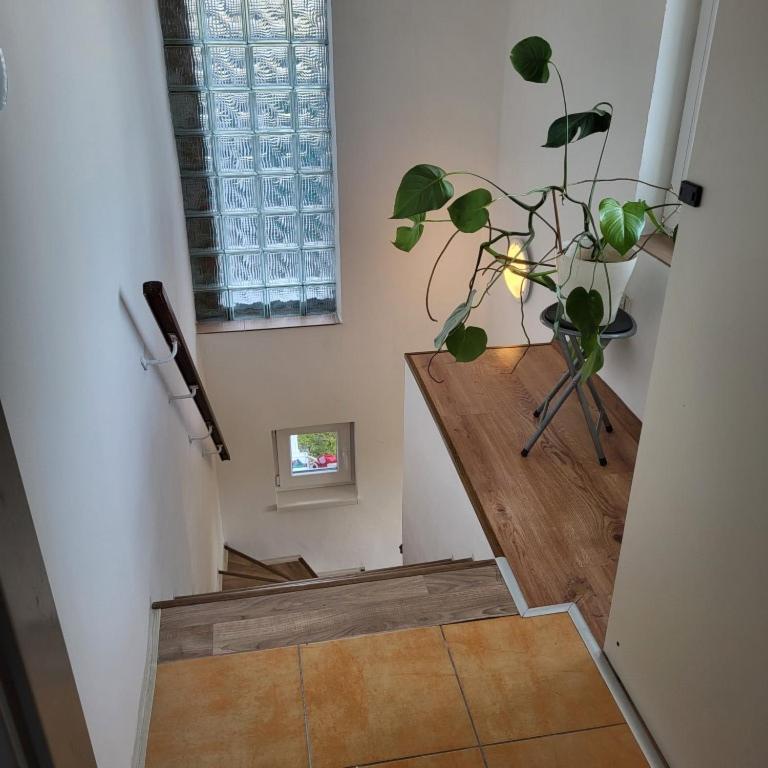 Apartman ,,Rokytka" Прага Экстерьер фото